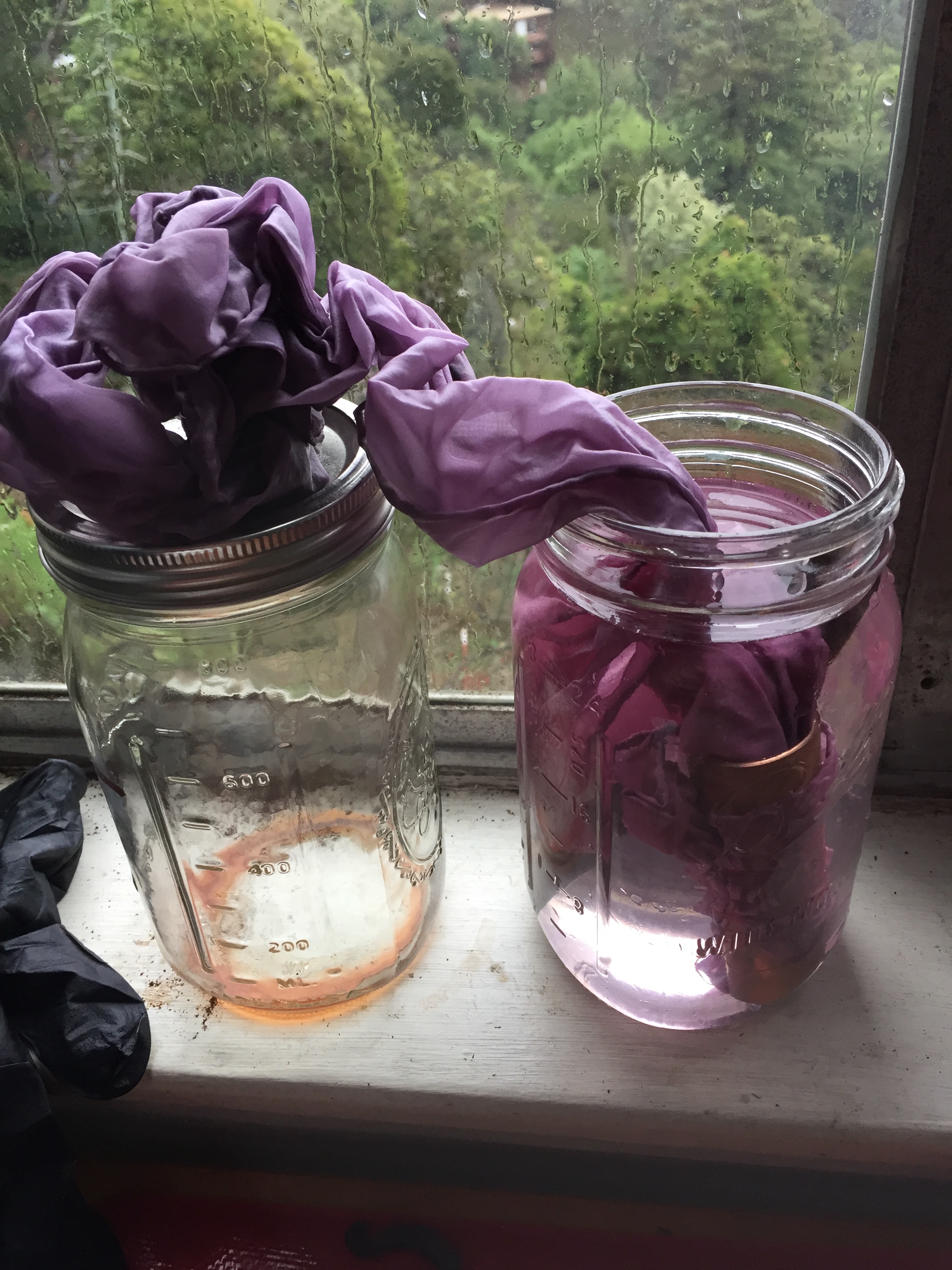 Black bean-dyed in the vinegar mordant