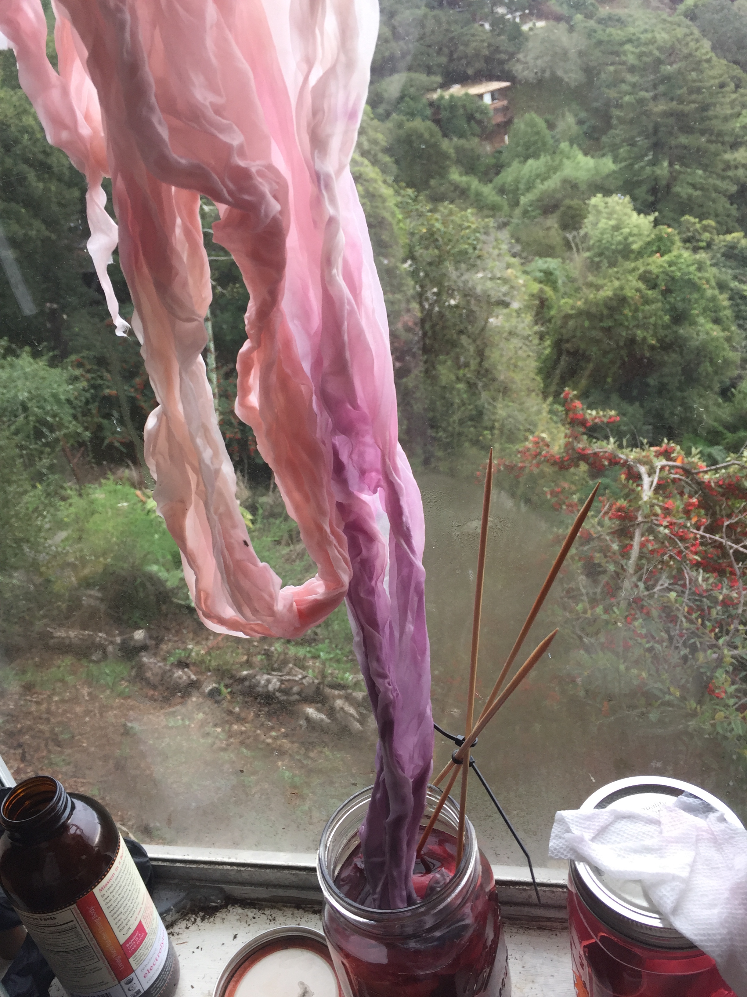 Red onion wicking up silk.