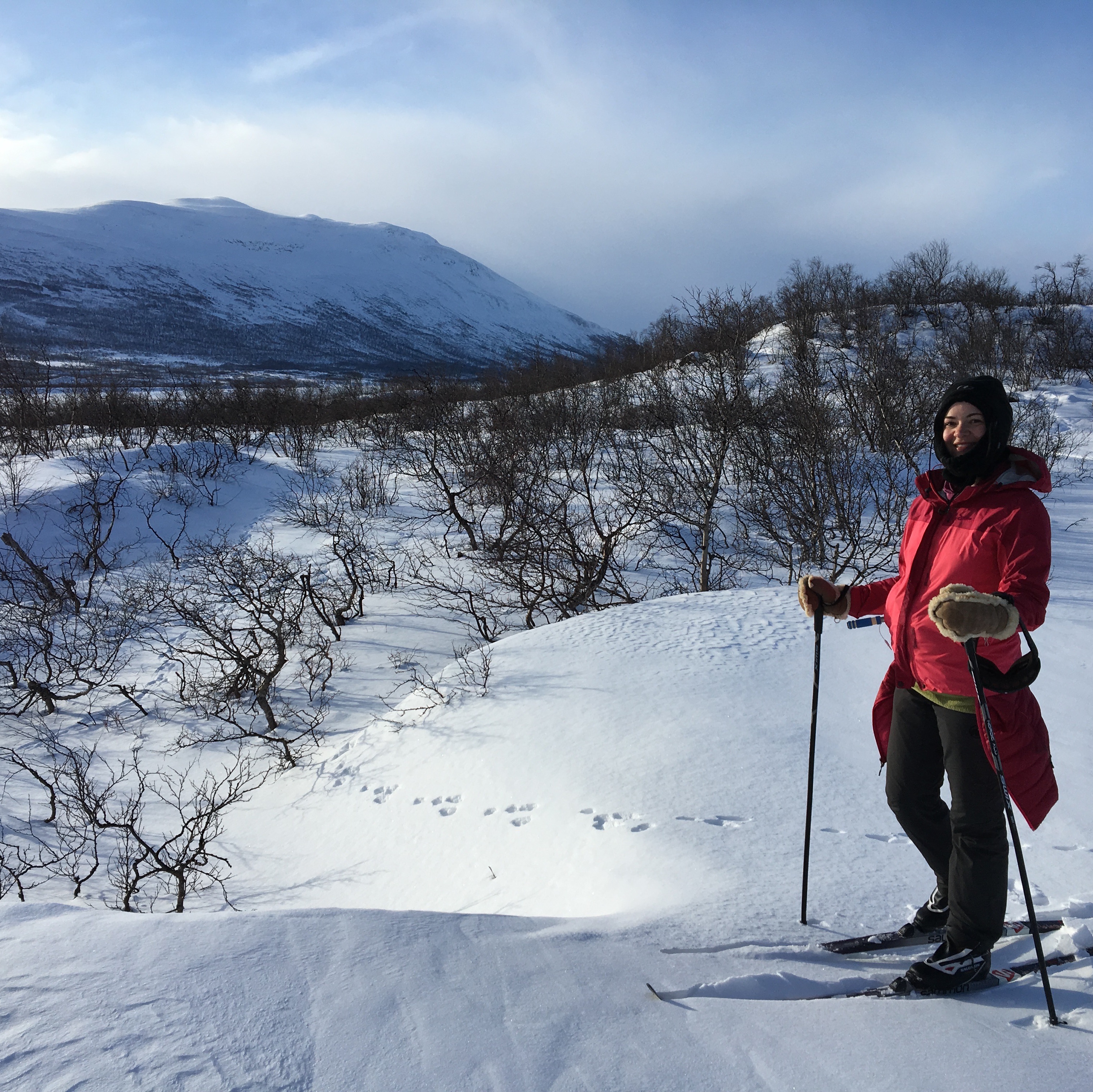 Skiing atop the large island in the middle of the lake, Abisko in the background.